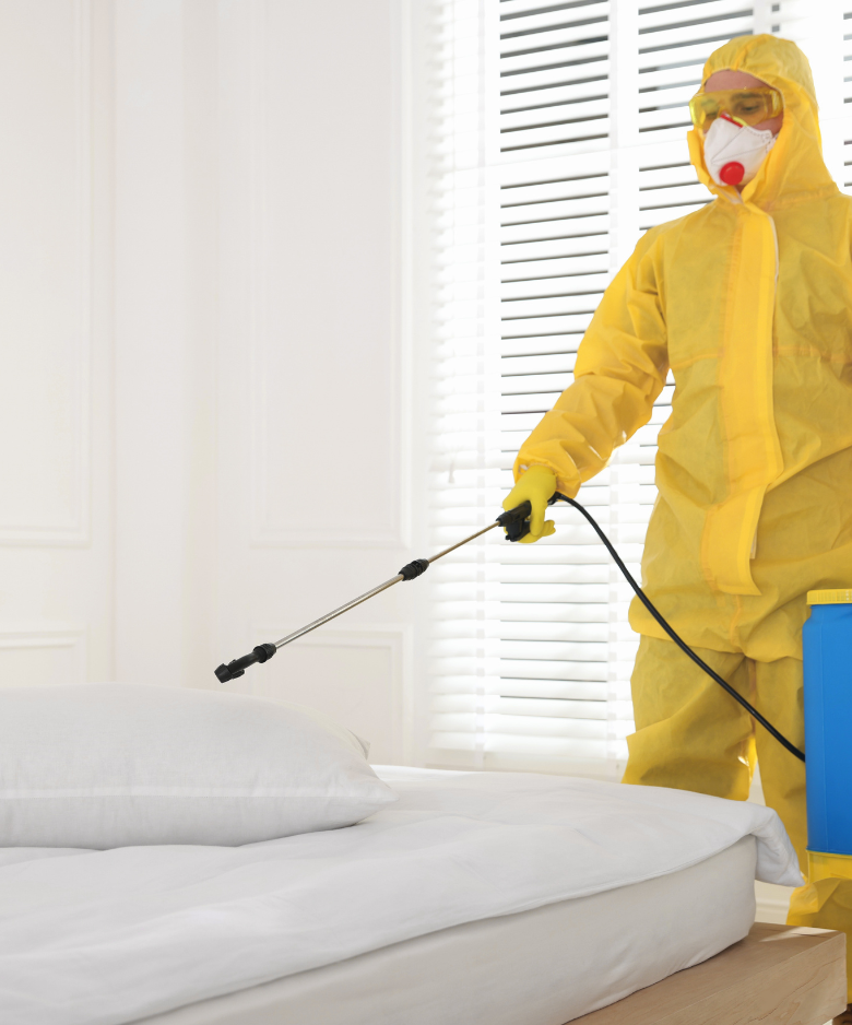Professional Pest Control Team in Aberfoyle Park